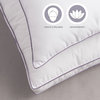 Lavender Aroma Infusion Down-Alternative Cotton Pillow, Standard