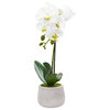 Phalaenopsis Orchid Artificial Arrangement, Set of 2