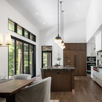 Modern Transitional Custom Home in Ann Arbor
