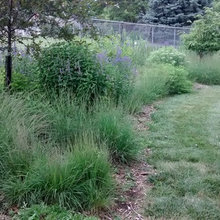 Border Gardens