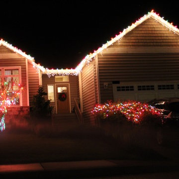 Professional Christmas Light Installation