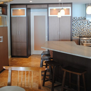 Contemporary Kitchens