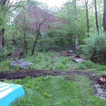 Woodland Ramble