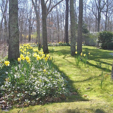 Hamptons Country Cottage