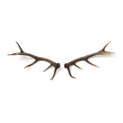 Faux Elk Antlers for Wall, Set of Two - Decorative Objects And Figurines