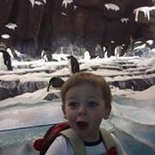 Kelly Caso's photo