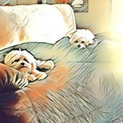 Kim Gonzalez's photo