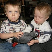 Linda Swab's photo