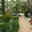 Kouture Landscapes