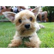 Susanne Robson's photo