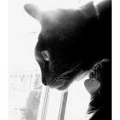Kat Holton's photo