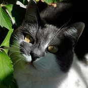Andreina Baj's photo