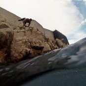 Paul Davis's photo