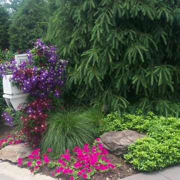 Entries & Driveways
