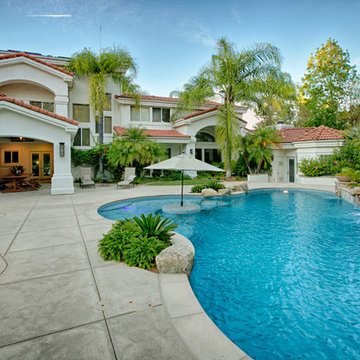 Tropical Oasis
