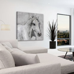 Grey Elegant Horse - Productos