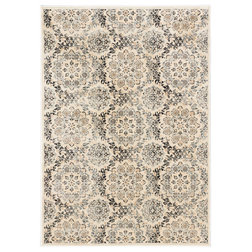 Transitional Area Rugs by ECARPETGALLERY