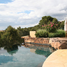 Infinity Pool
