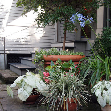 My Houzz: Peek Inside an Artist’s Updated Shotgun Home and Studio