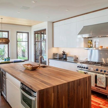 Black Walnut Countertop