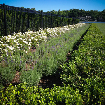 Stewart Hass and Associates Projects