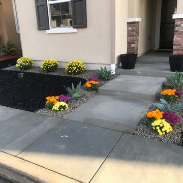Landscape Project
