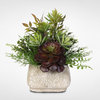 Artificial Succulent Variety in Stone Pot