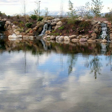 Water Features & Pools
