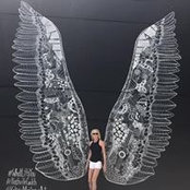 Kathy Ponder's photo