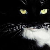 Cao Nam's photo