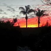Jeff Bosset's photo