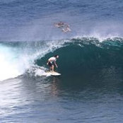 Aaron Hoffmans foto