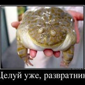 Foto de Darya Senich
