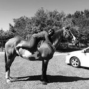 Wendy Orant's photo