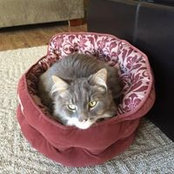 Annette Assaff's photo