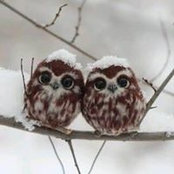 Charles McKean's photo