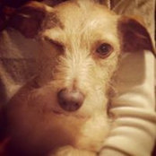 Brandon Leong's photo
