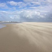 Foto von Judith Hahn