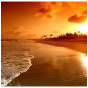 Sherika Luces's photo