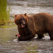 Charles Coppedge's photo