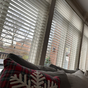 Motorized Shades