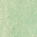 Cool linoleum flooring