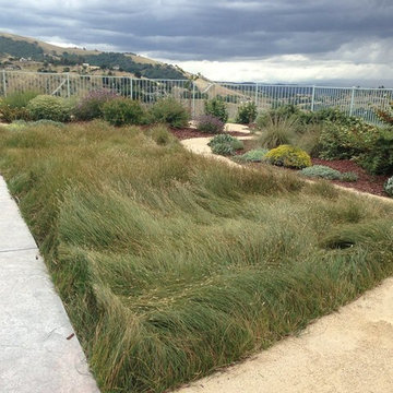 East Foothills Garden
