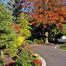 Drive Way
