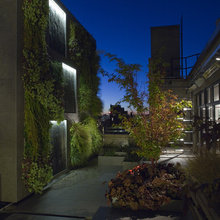 Design Ideas - Garden