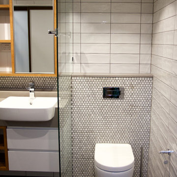 The Gap Residence (bathroom renovation)