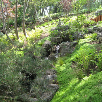 Asian Inspired Garden