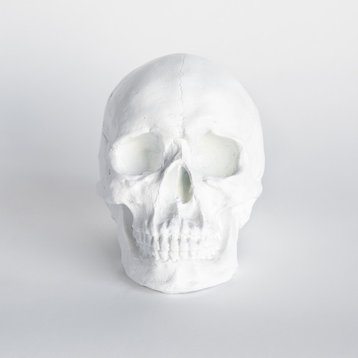 Faux Human Skull, Resin Home Decor, Table Top Skeleton Head, White