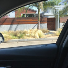 Landscape Design - Front Yard