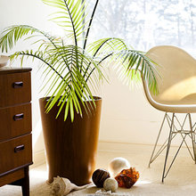 My Home Style:  Mid Century Modern